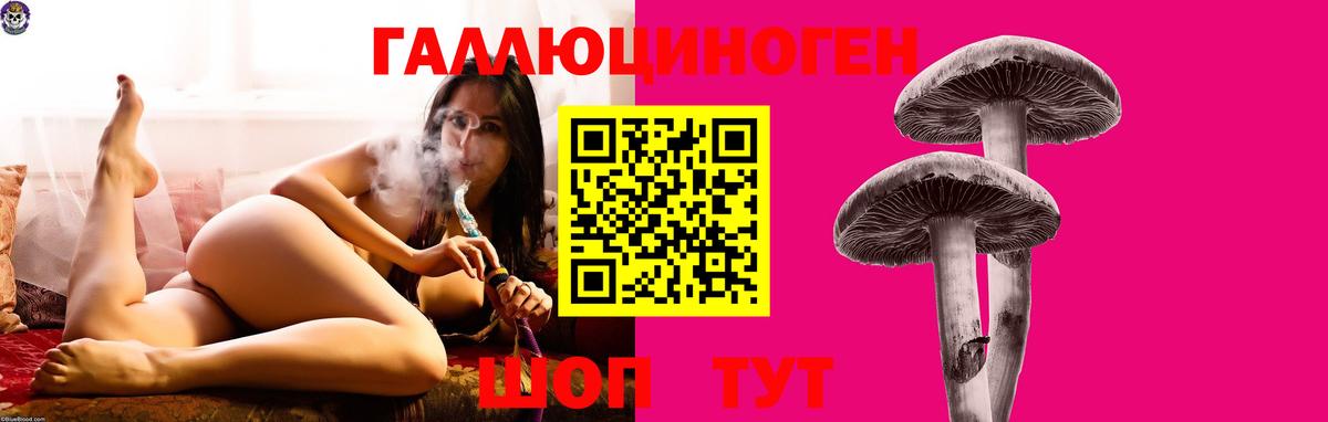Сосновоборск  купить наркоту  Вход с VPN  Псилоцибиновые грибы GOLDEN TEACHER 